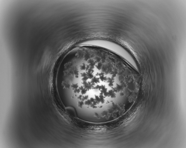 X0000096410443200801311355