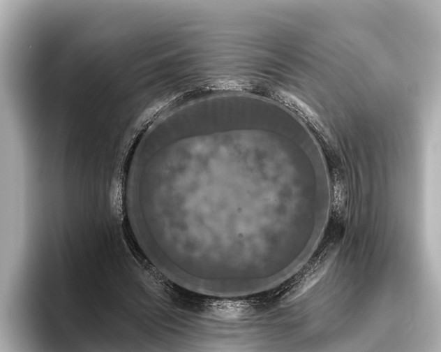 X0000096410444200801311355