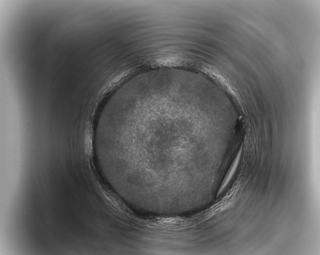 X0000096410446200801311355