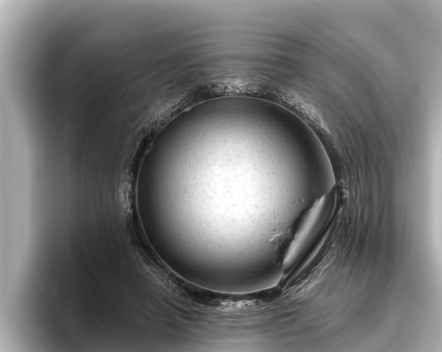 X0000096410450200801311355