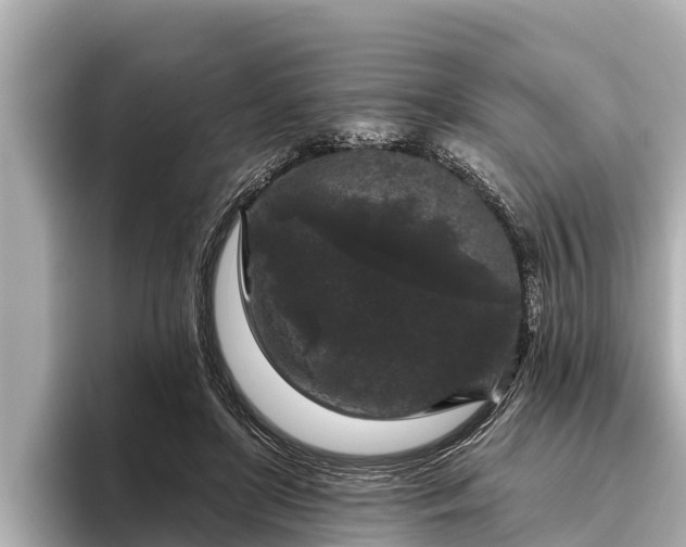 X0000096410451200801311355