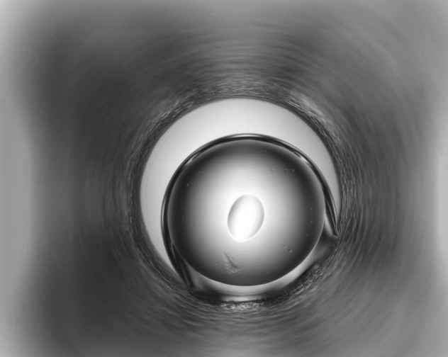X0000096410452200801311355