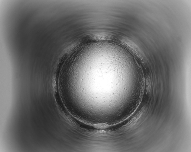 X0000096410453200801311356