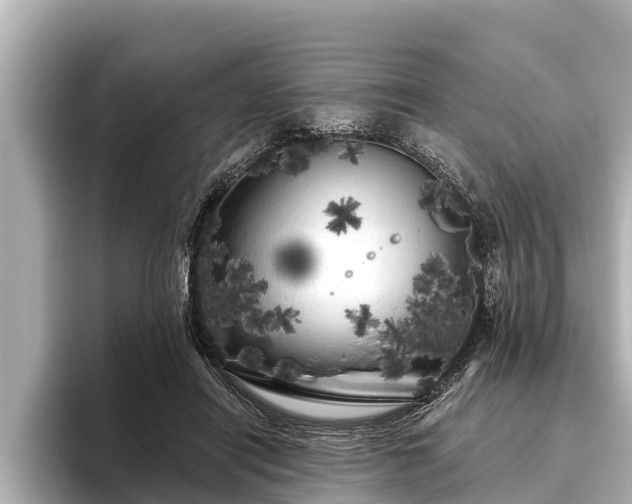 X0000096410454200801311356