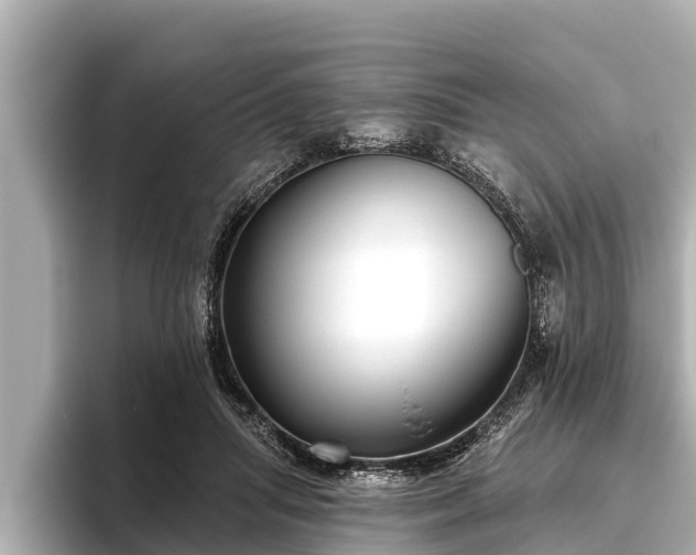 X0000096410455200801311356