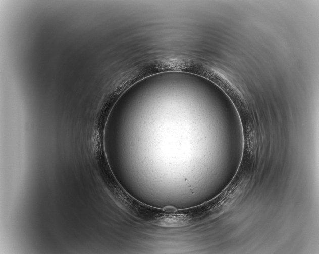 X0000096410459200801311356