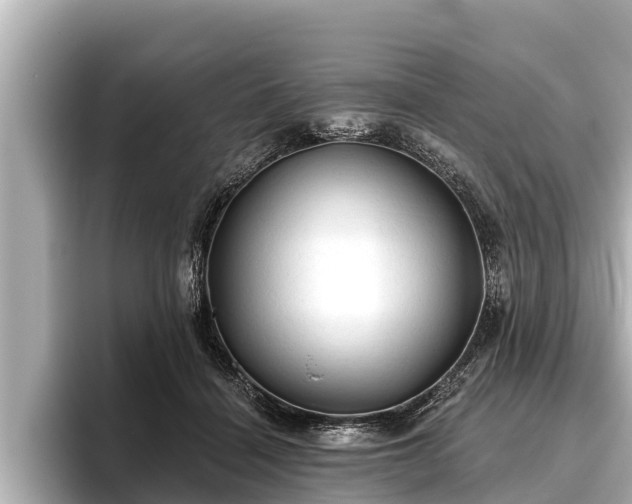 X0000096410460200801311356