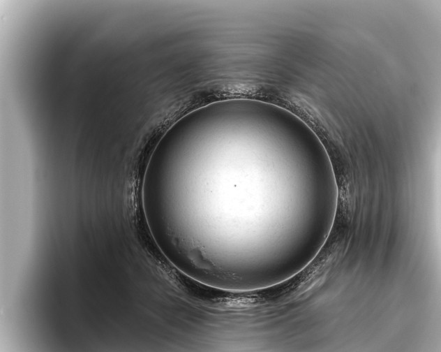 X0000096410462200801311356
