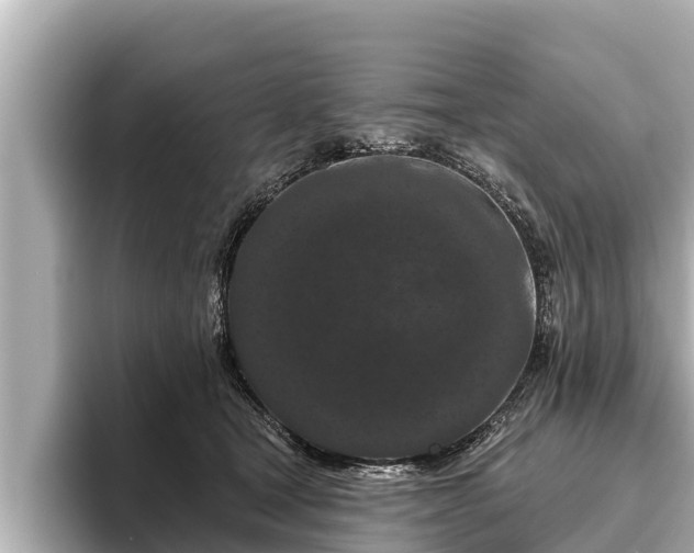 X0000096410465200801311356