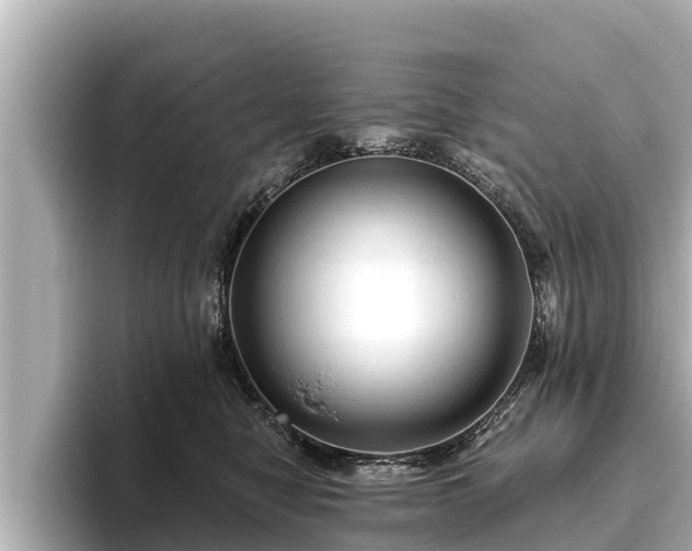 X0000096410470200801311356