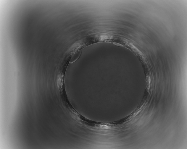 X0000096410475200801311356