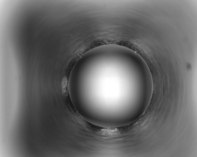 X0000096410480200801311356
