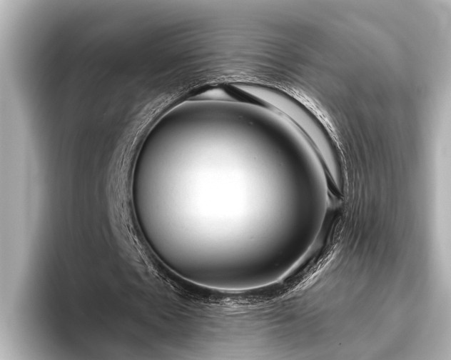 X0000096410481200801311355