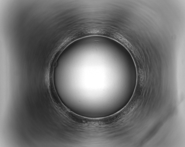 X0000096410482200801311355