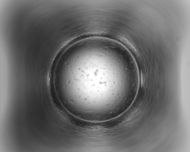 X0000096410483200801311355