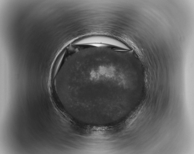 X0000096410484200801311355