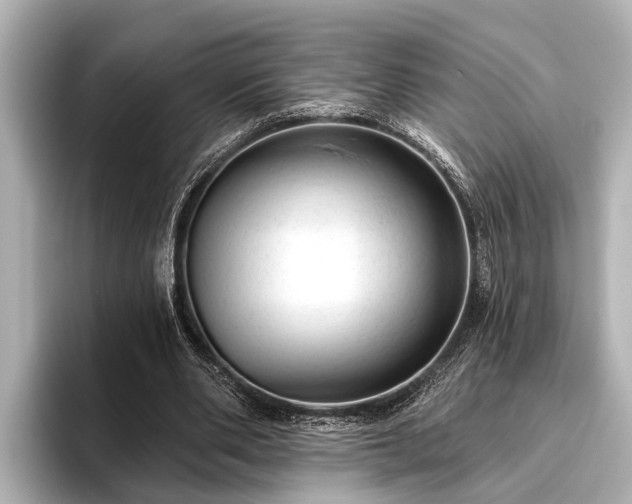 X0000096410486200801311355