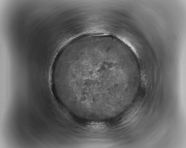 X0000096410487200801311355