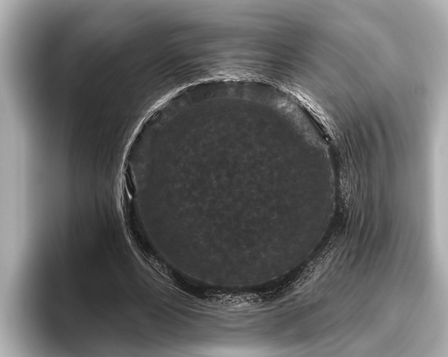 X0000096410488200801311355