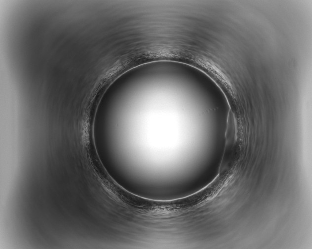 X0000096410489200801311355