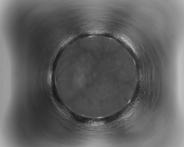 X0000096410491200801311355