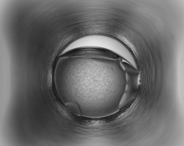 X0000096410493200801311355