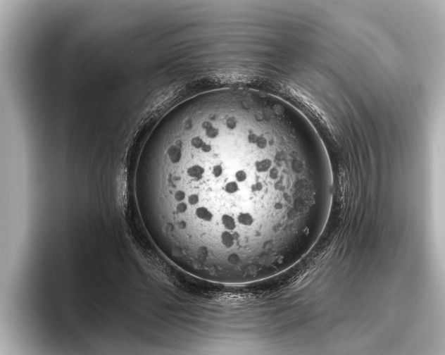 X0000096410494200801311355