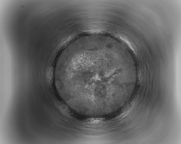 X0000096410495200801311355