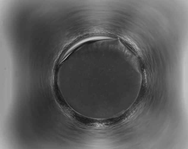 X0000096410496200801311355