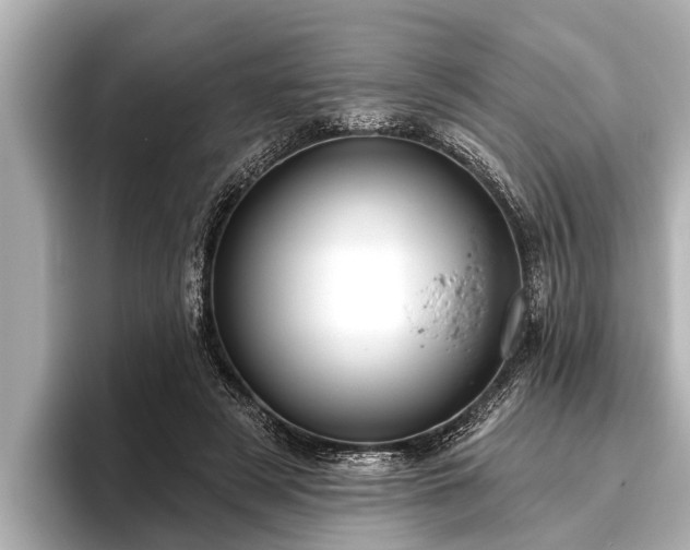 X0000096410497200801311355
