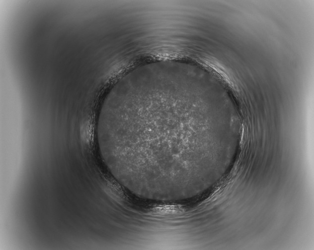 X0000096410499200801311355