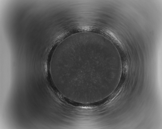 X0000096410500200801311355