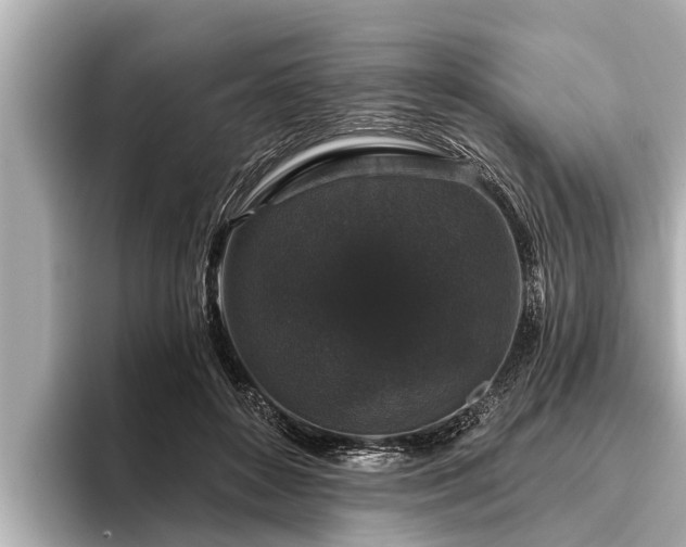 X0000096410504200801311355