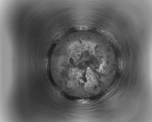 X0000096410511200801311355