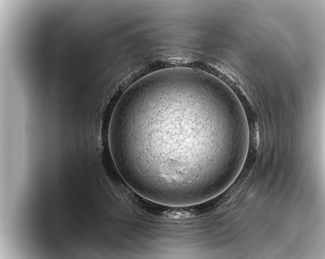 X0000096410512200801311355