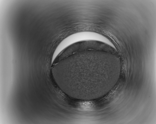 X0000096410513200801311355