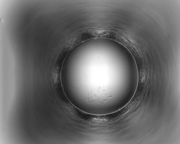 X0000096410515200801311355