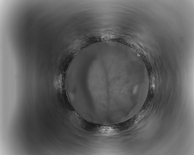 X0000096410519200801311355