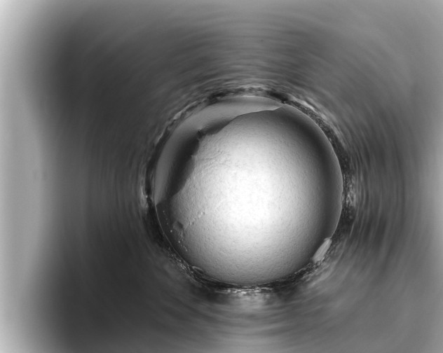 X0000096410524200801311355