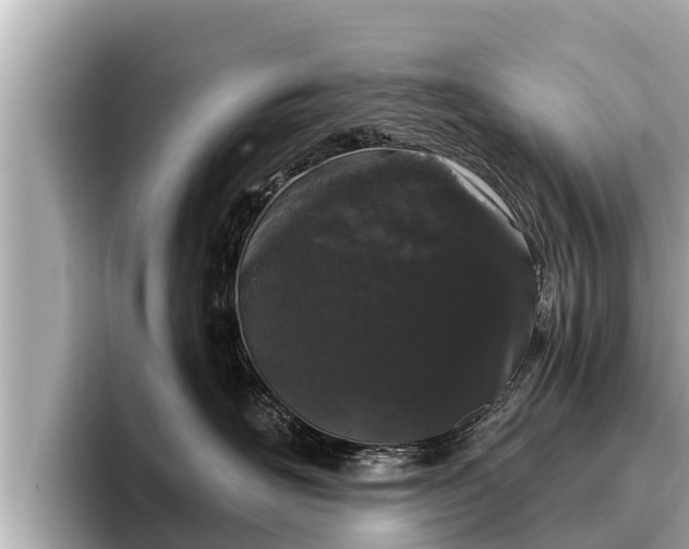 X0000096410526200801311355
