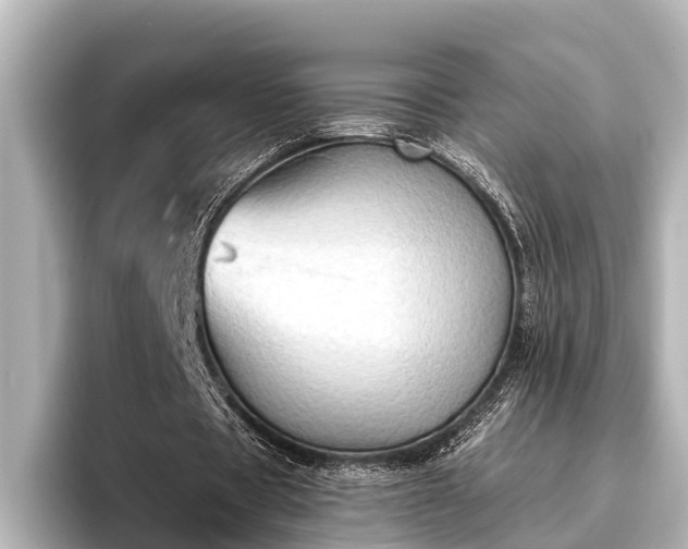 X0000096410529200801311354