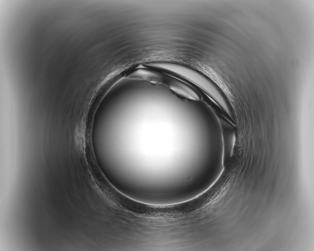X0000096410530200801311354