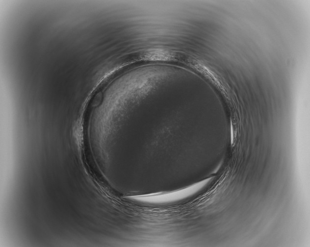 X0000096410531200801311354
