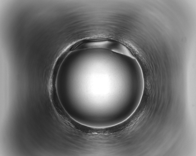 X0000096410532200801311354