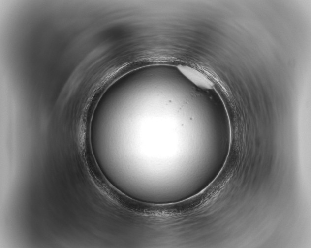 X0000096410533200801311354
