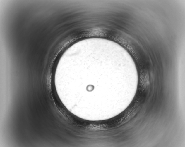 X0000096410534200801311354