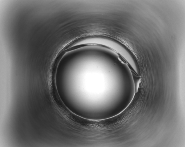 X0000096410535200801311354