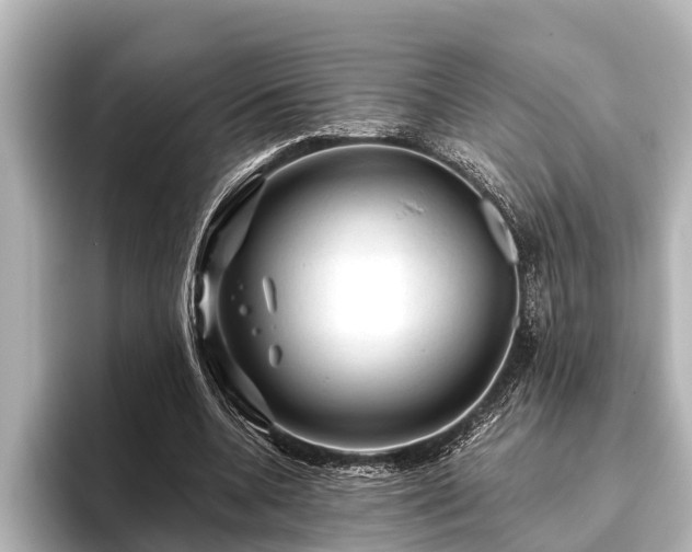 X0000096410536200801311354