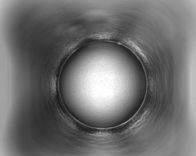 X0000096410537200801311354