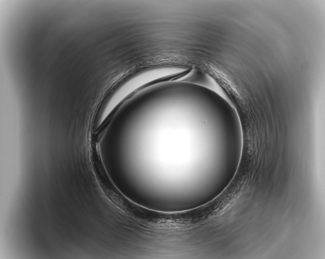 X0000096410538200801311354